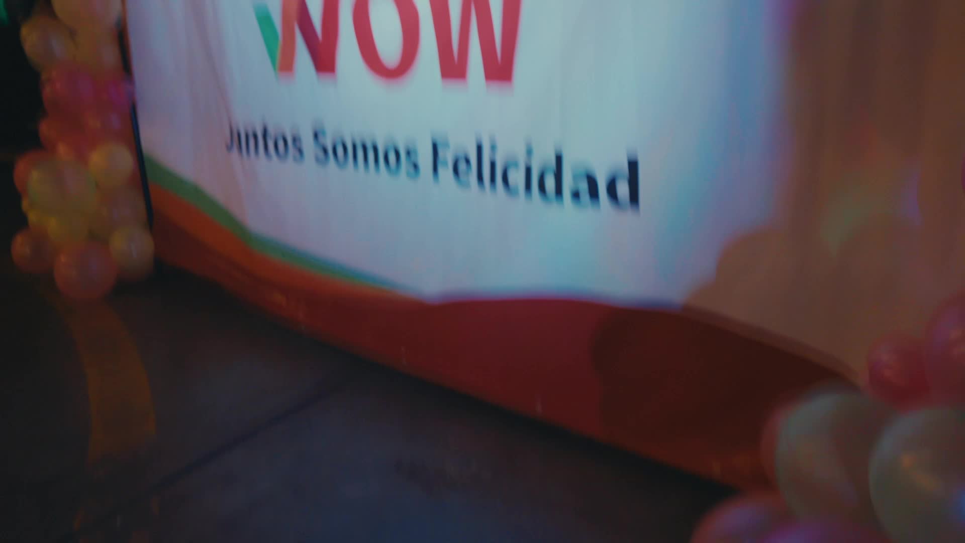 CORPORATIVO PARDOS CHICKEN
